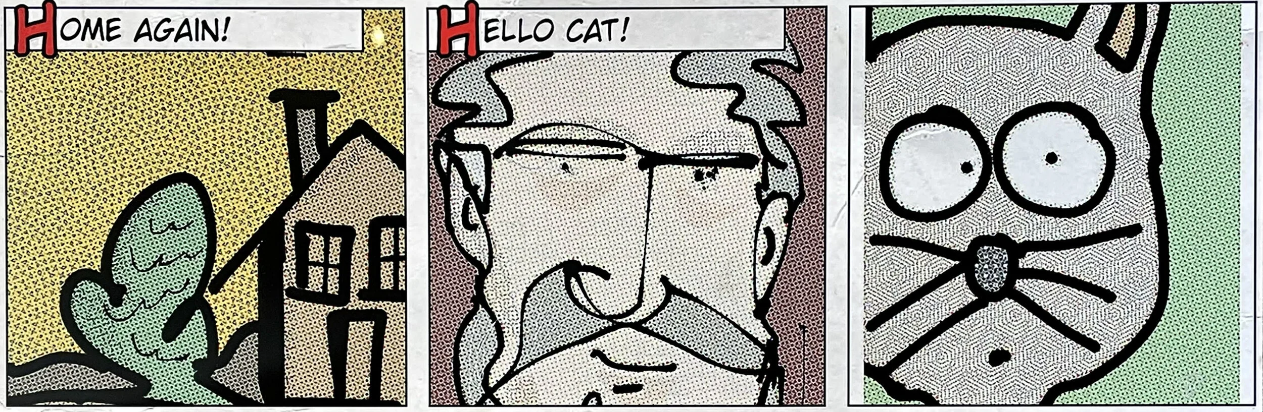 Hello Cat!