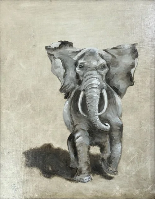 African Bull Elephant