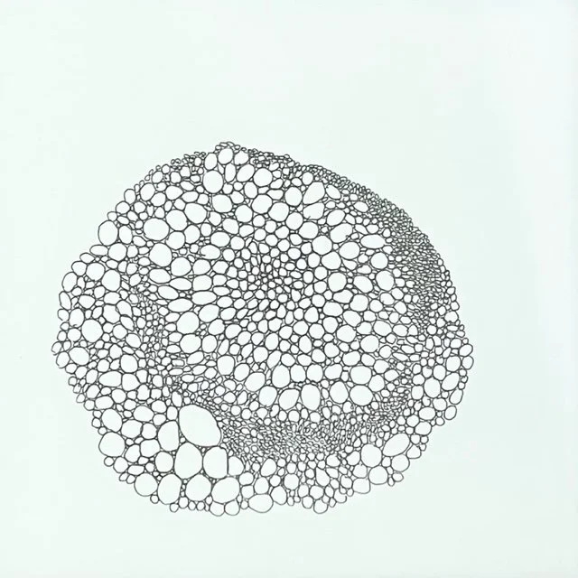 Bubble Wrap
