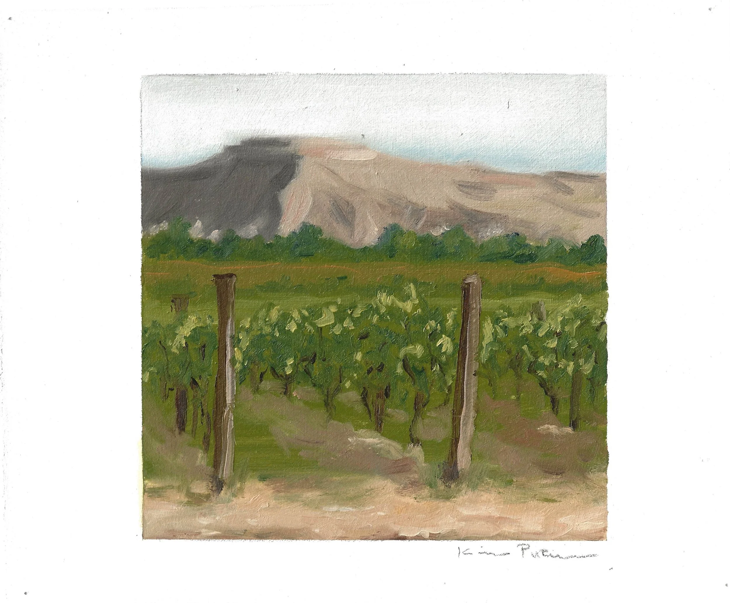 I Am in Transition: Palisade Landscape