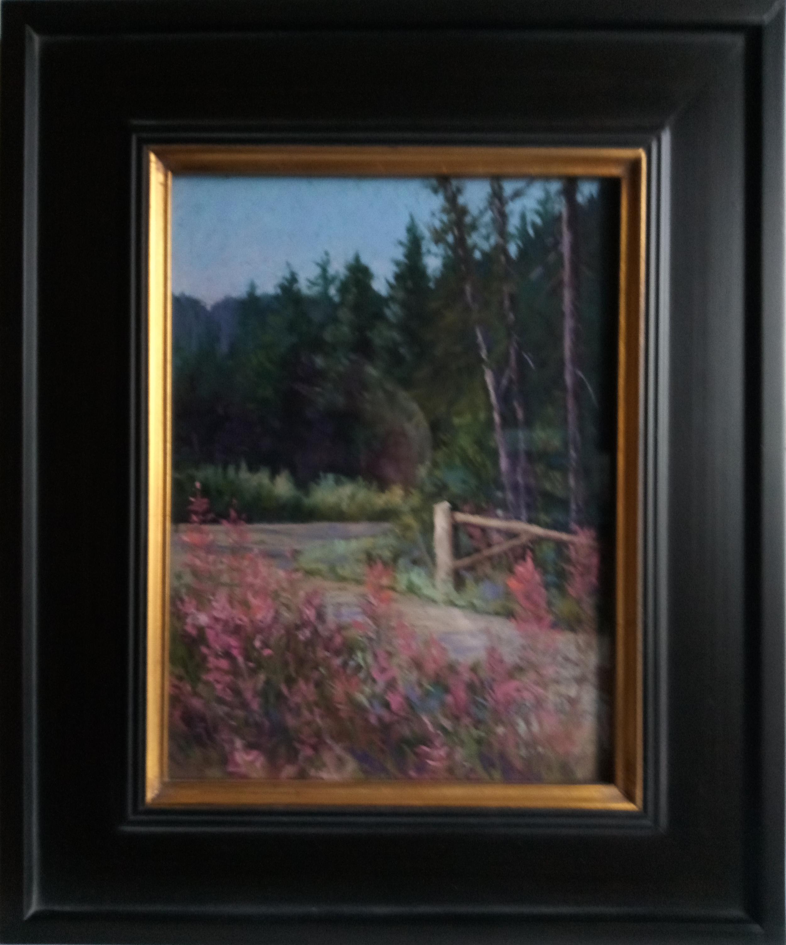 _Mesa Fireweed_.png
