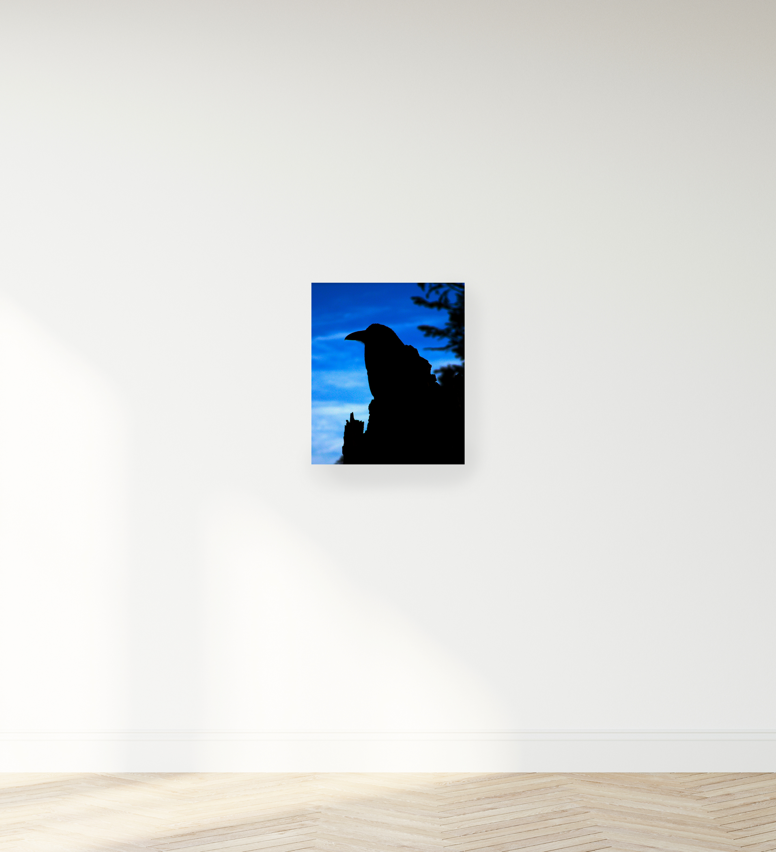 Raven.png