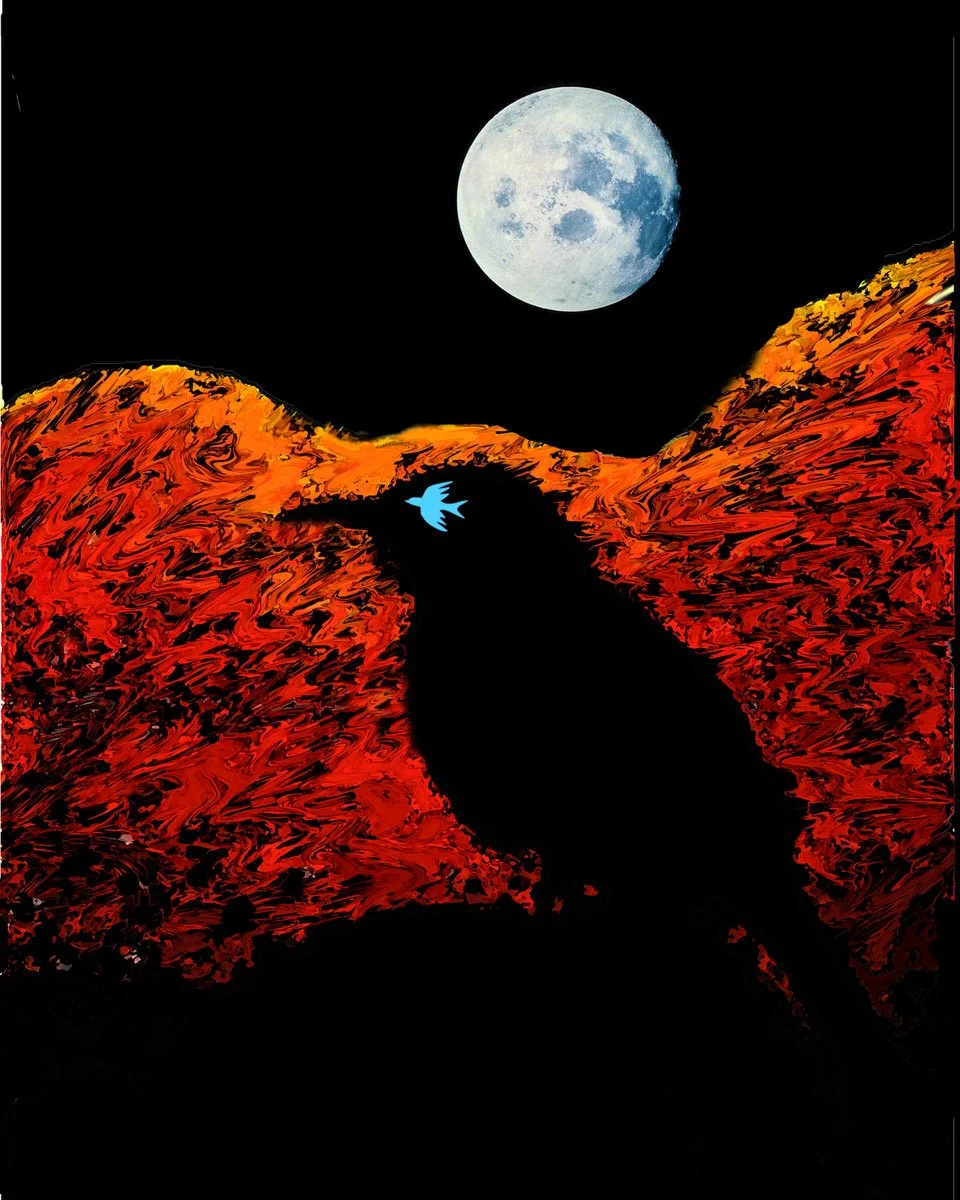 revised raven 8x10.jpeg