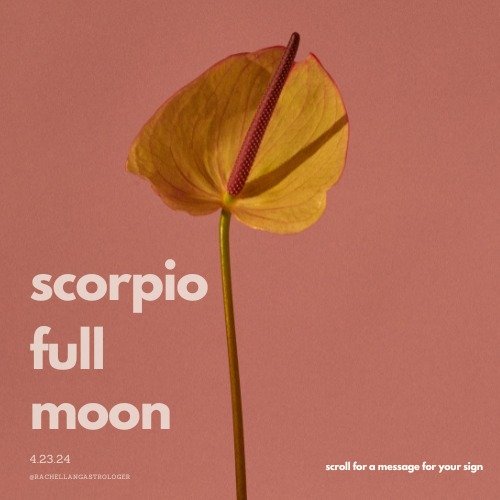 What a powerful Full Moon! The Moon is shining in the sign of Scorpio, and it forms a square aspect to Pluto. This lunation offers us profound and transformative power. We're aware of the dark (our deep-seated feelings and shadow aspects) while balan