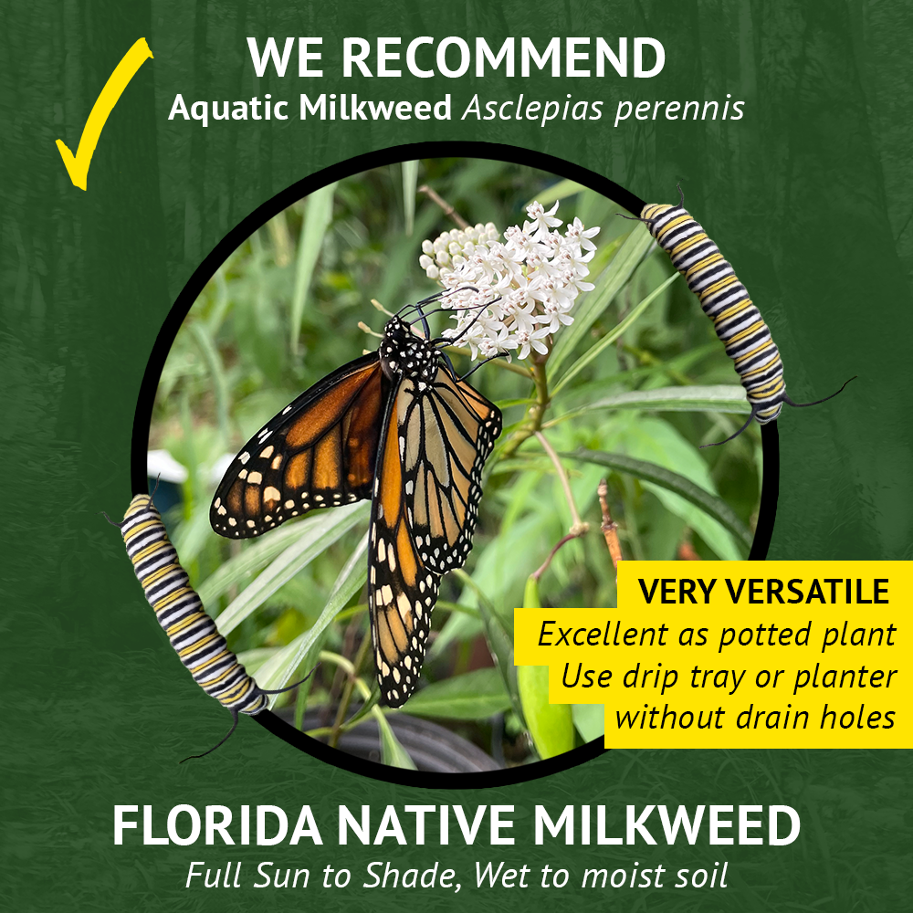 3 - Recommend - 1000X1000.png