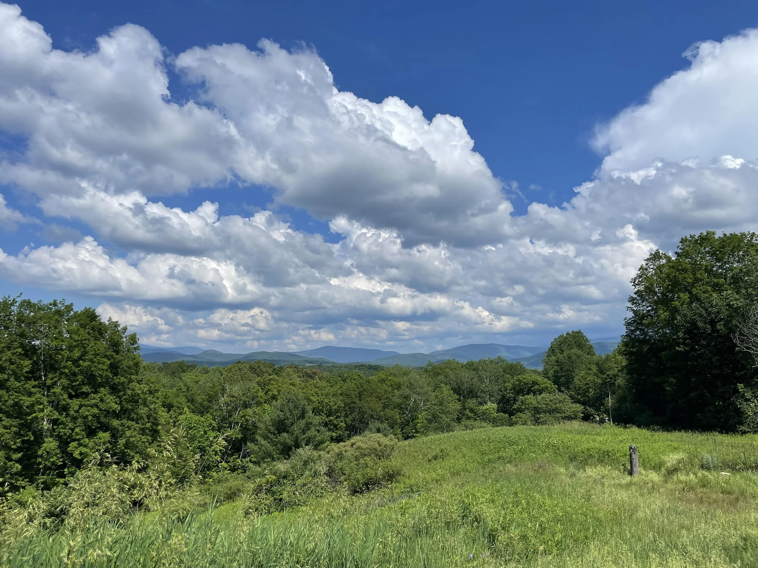 Dionondehowa Benefit Concert