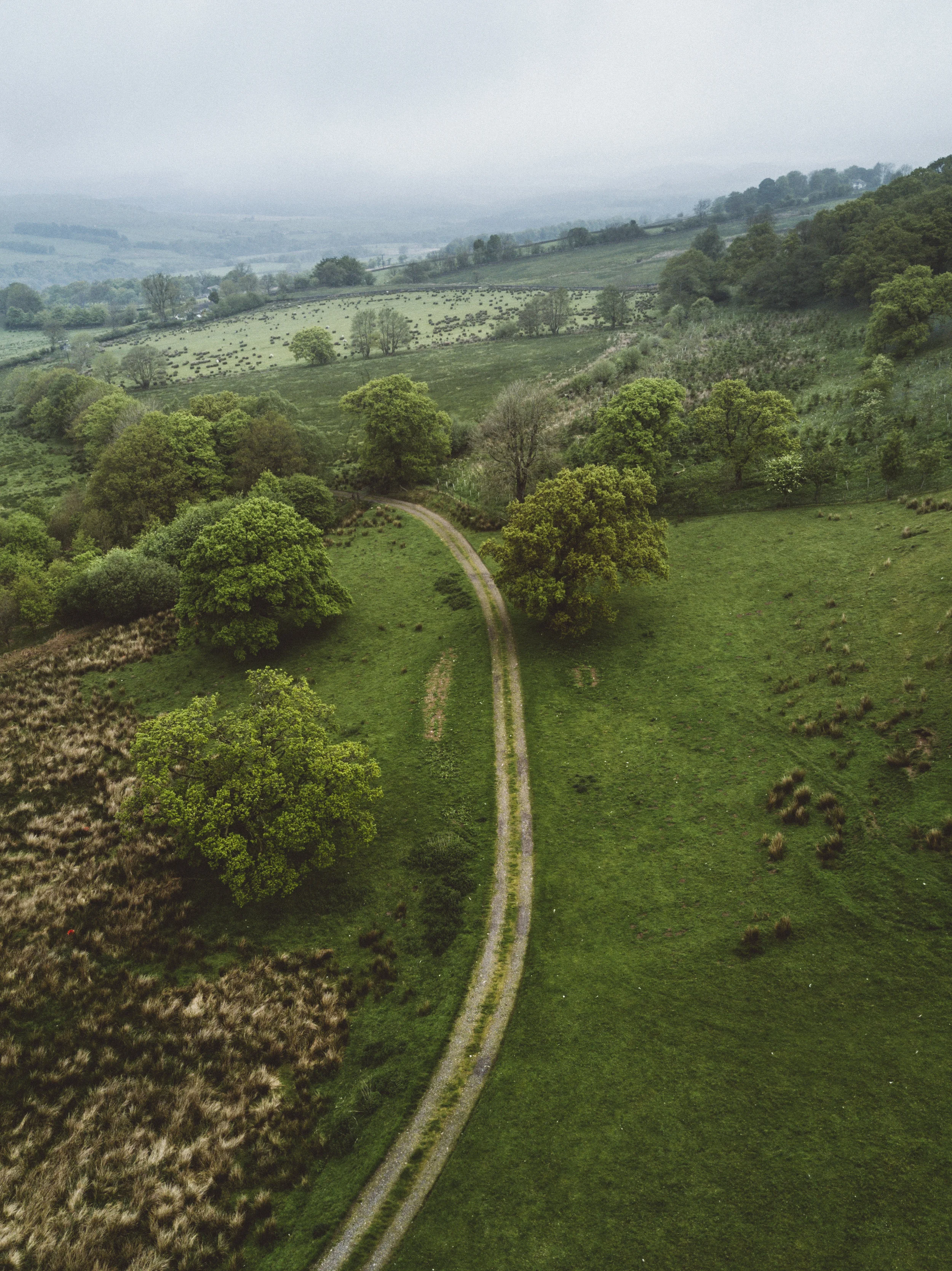 DJI_0782-2.jpg