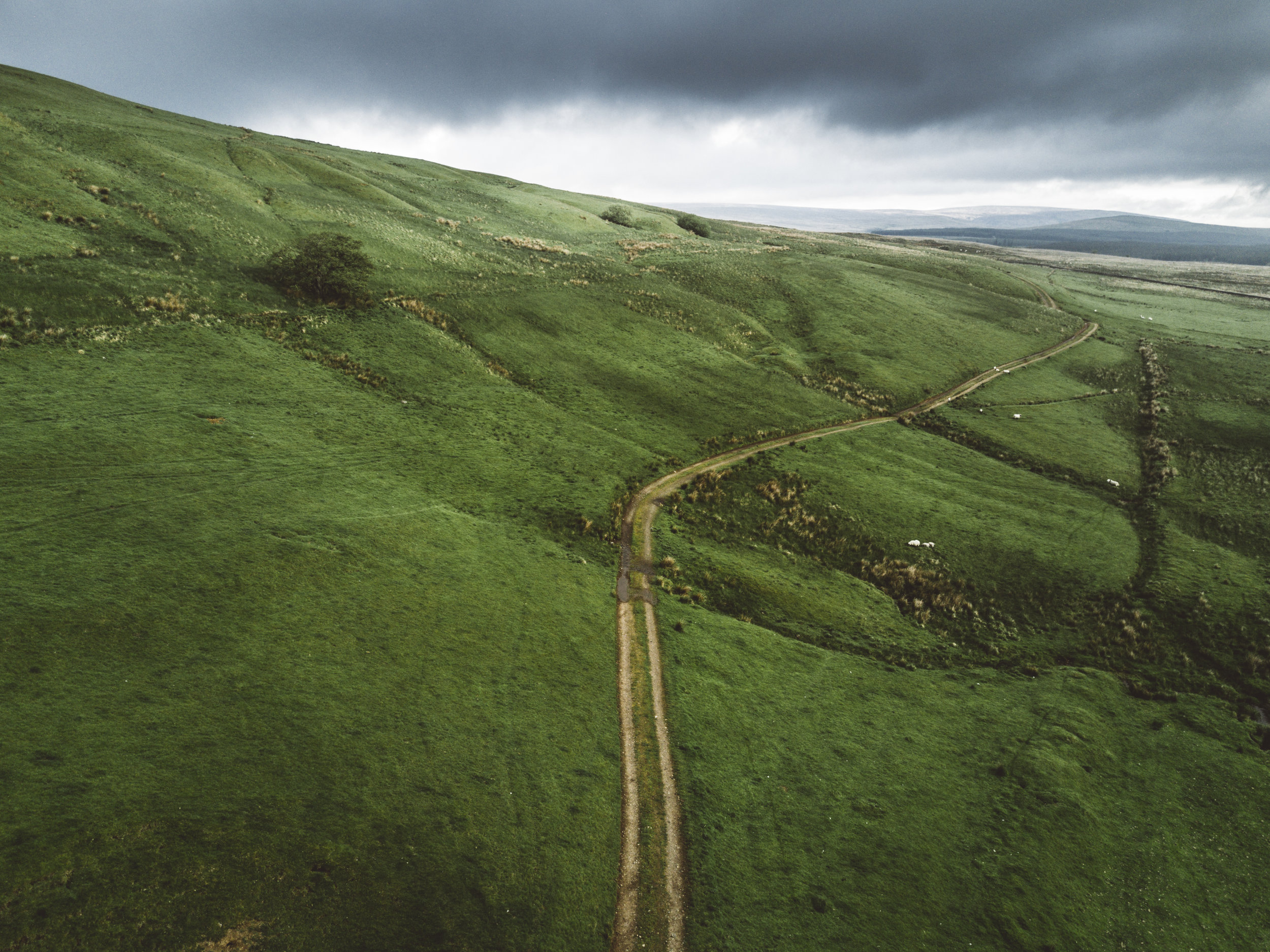 DJI_0821-2.jpg