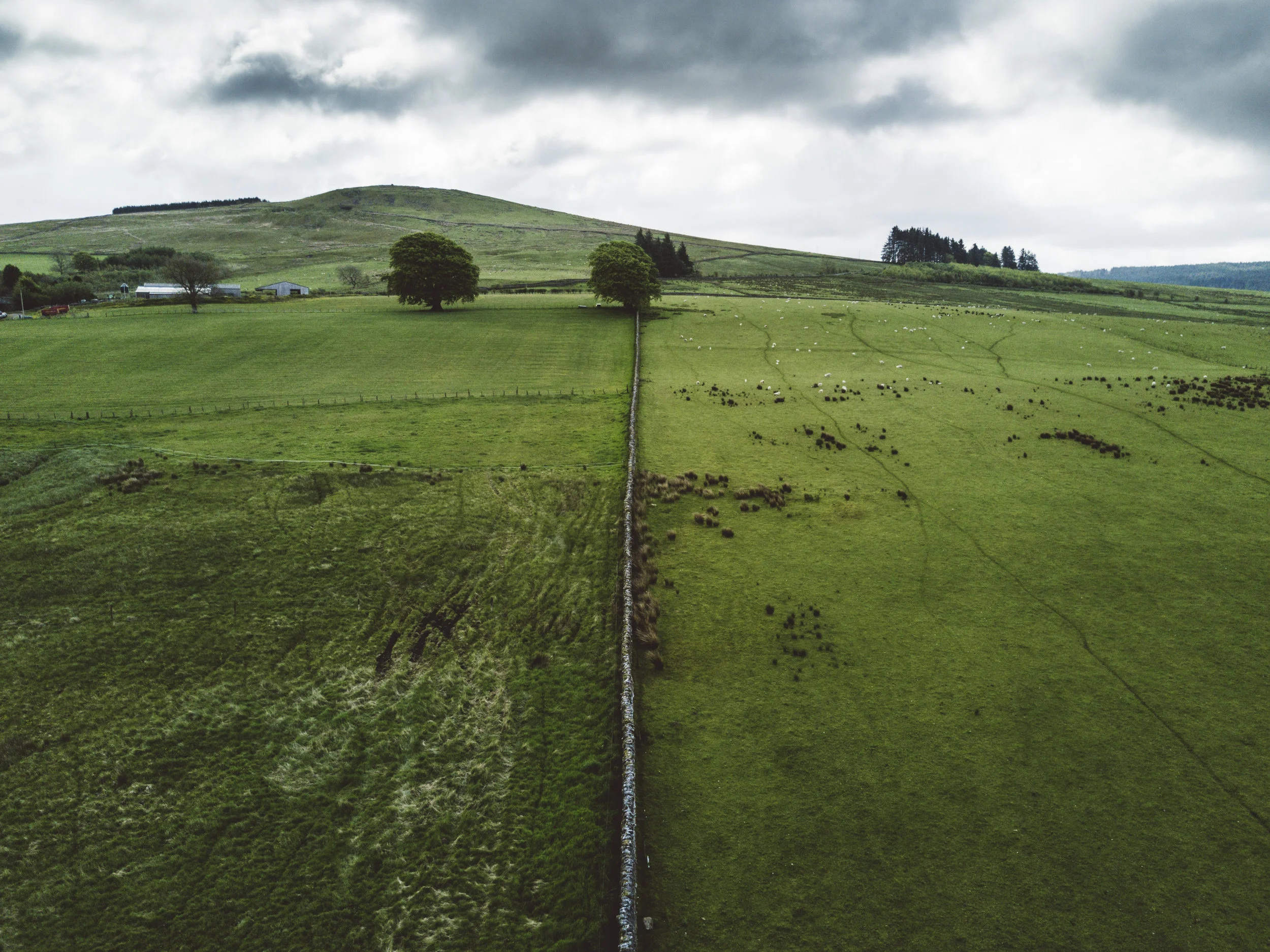 DJI_0878.jpg