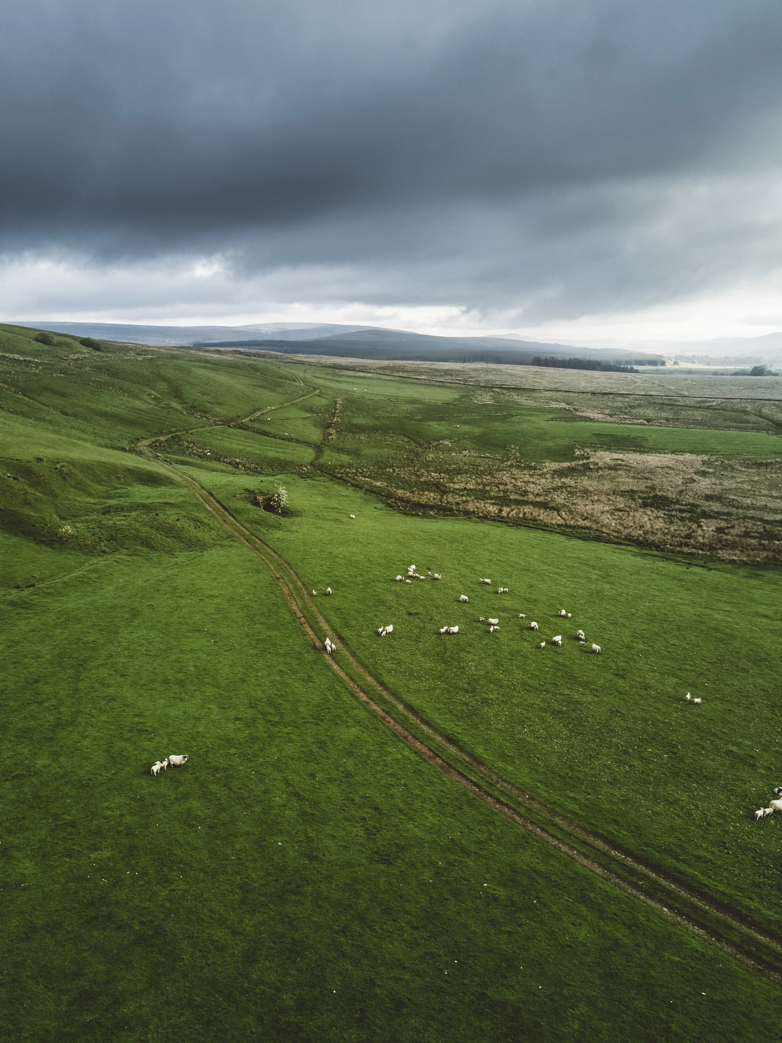 DJI_0829-Edit.jpg