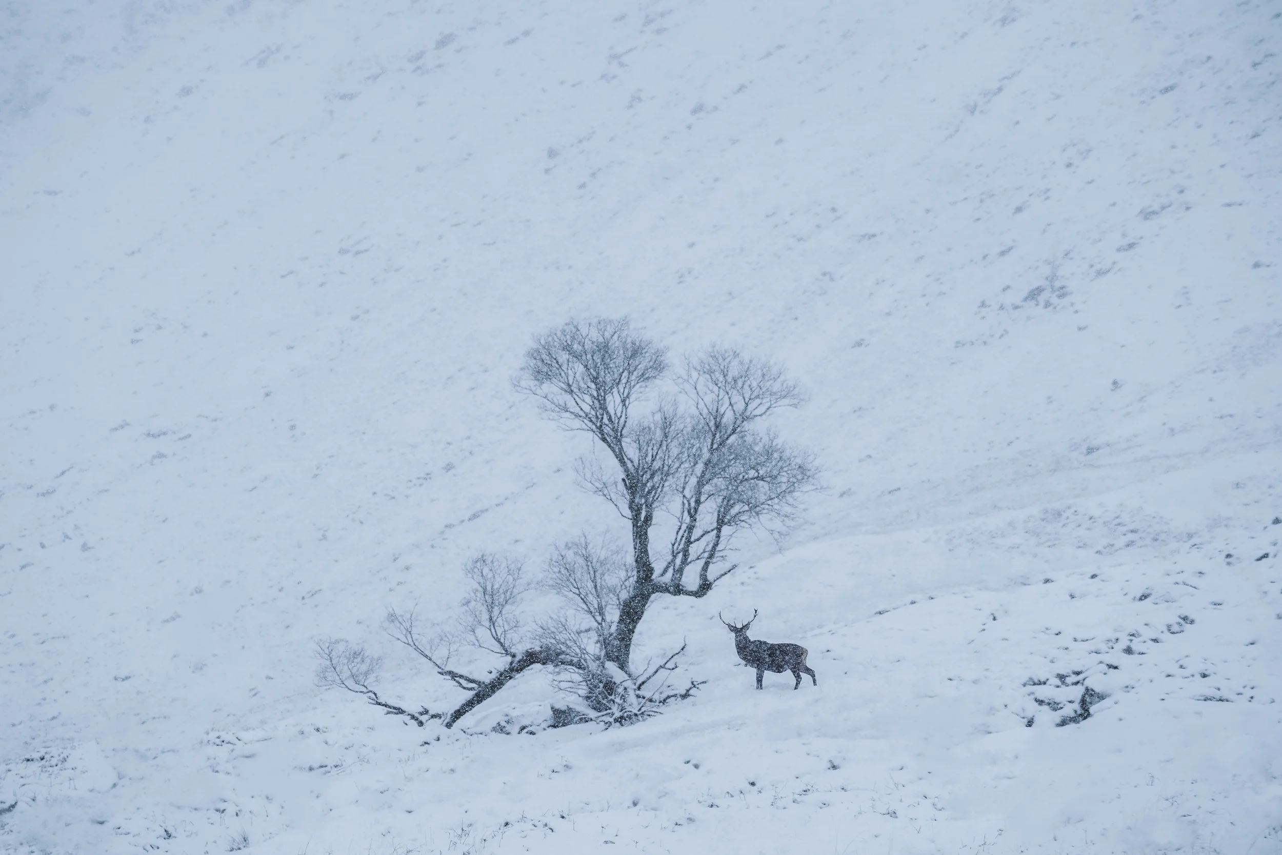 4x4 Scotland- Low Res-22.jpg