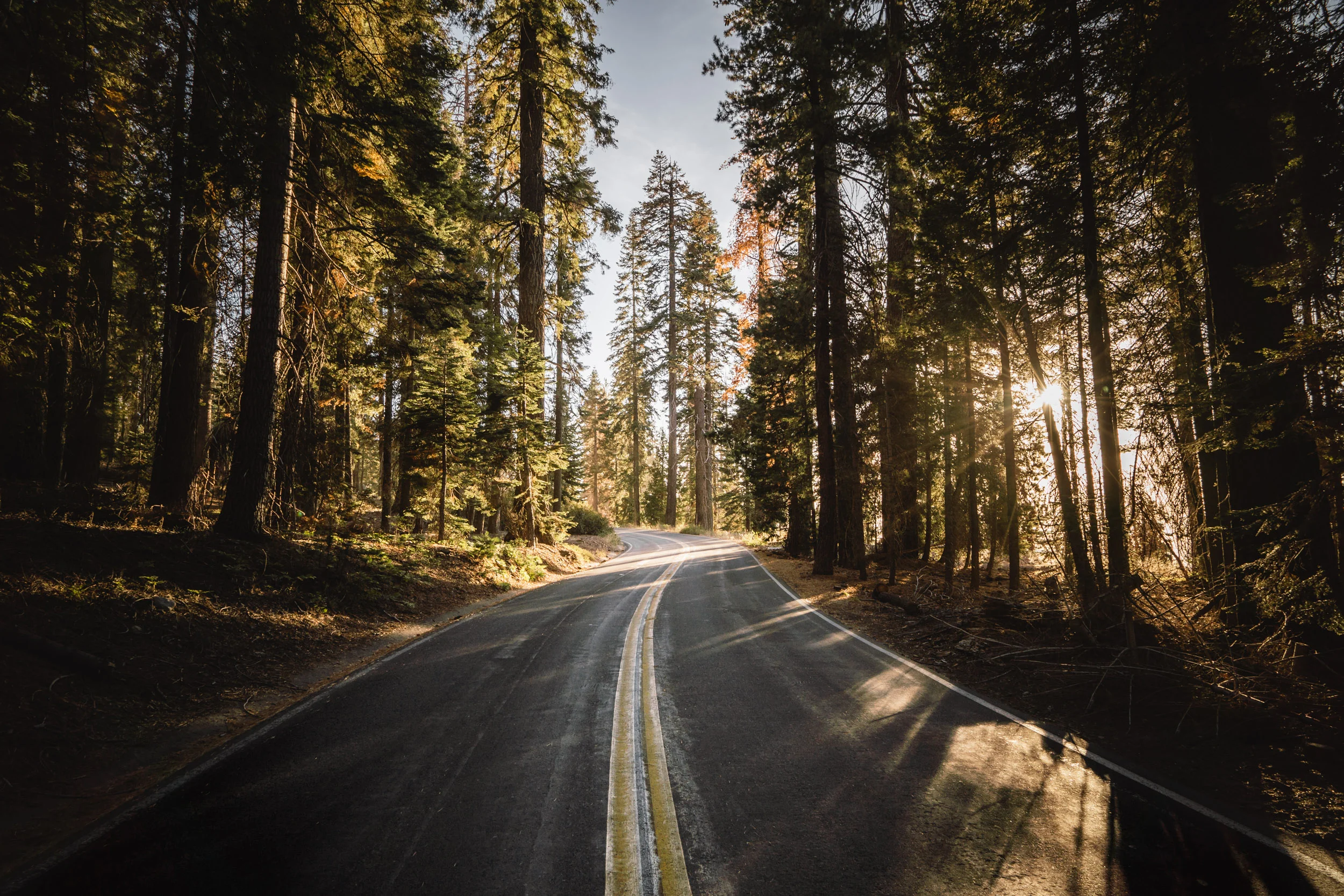 Cali- Website-5.jpg
