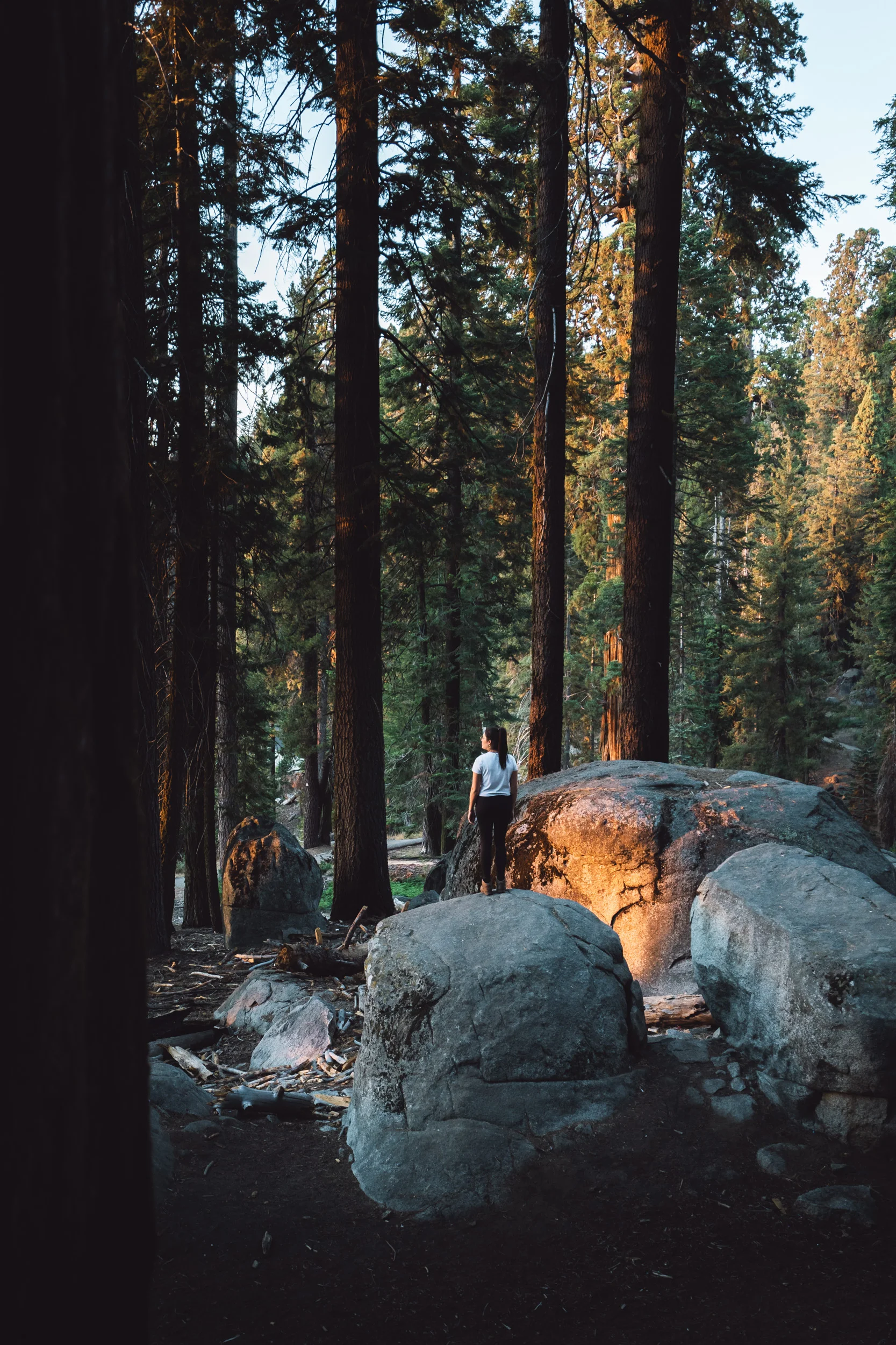 Cali- Website-6.jpg