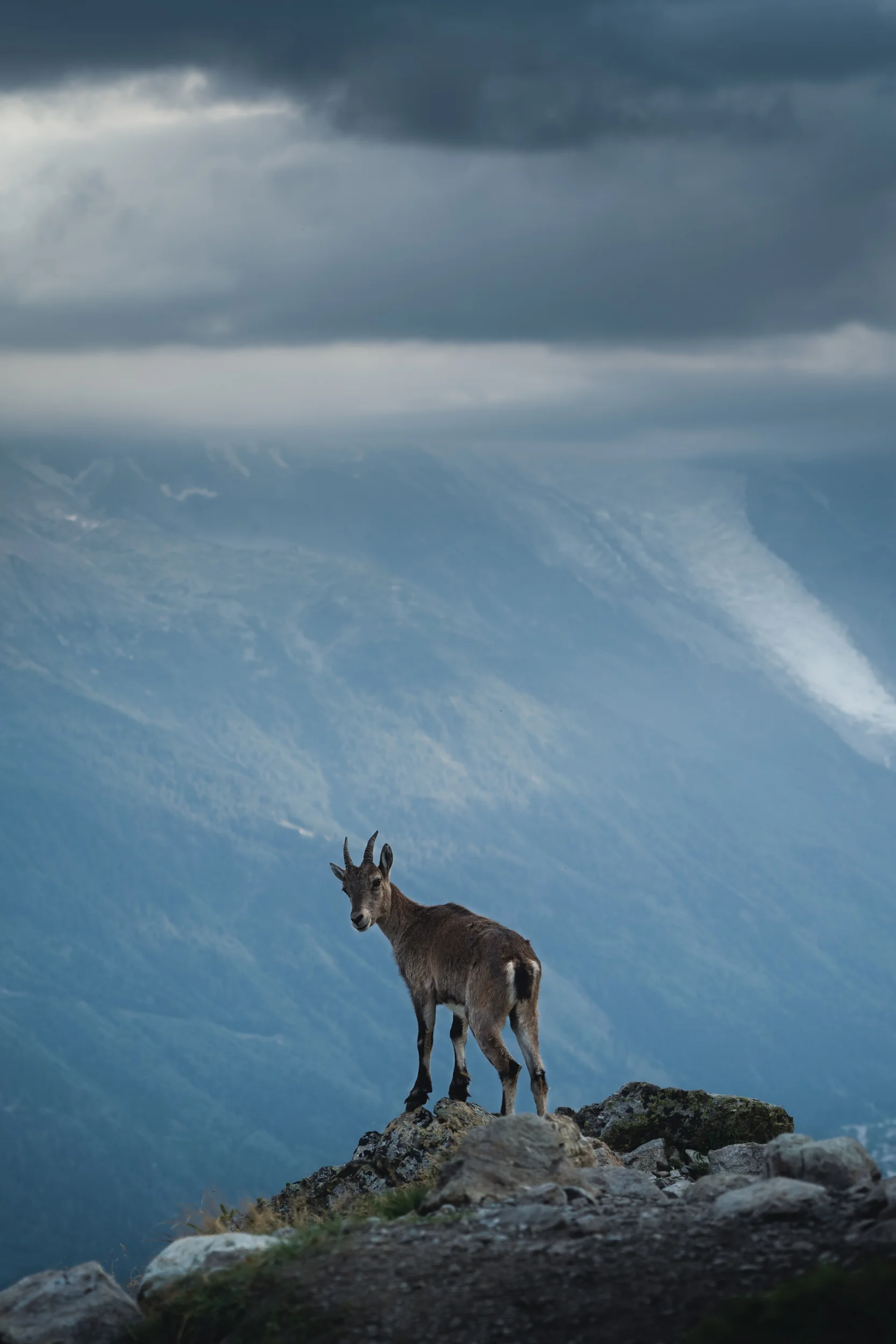 Chamonix- Website-2.jpg