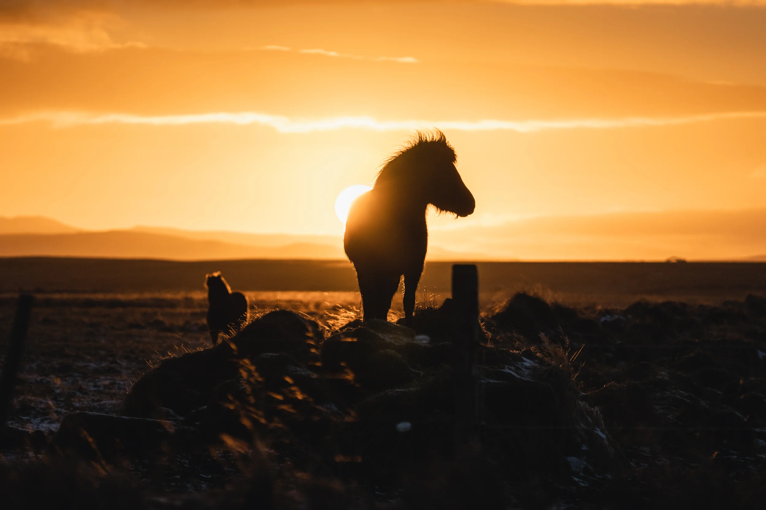 Iceland III- Low Res-142.jpg