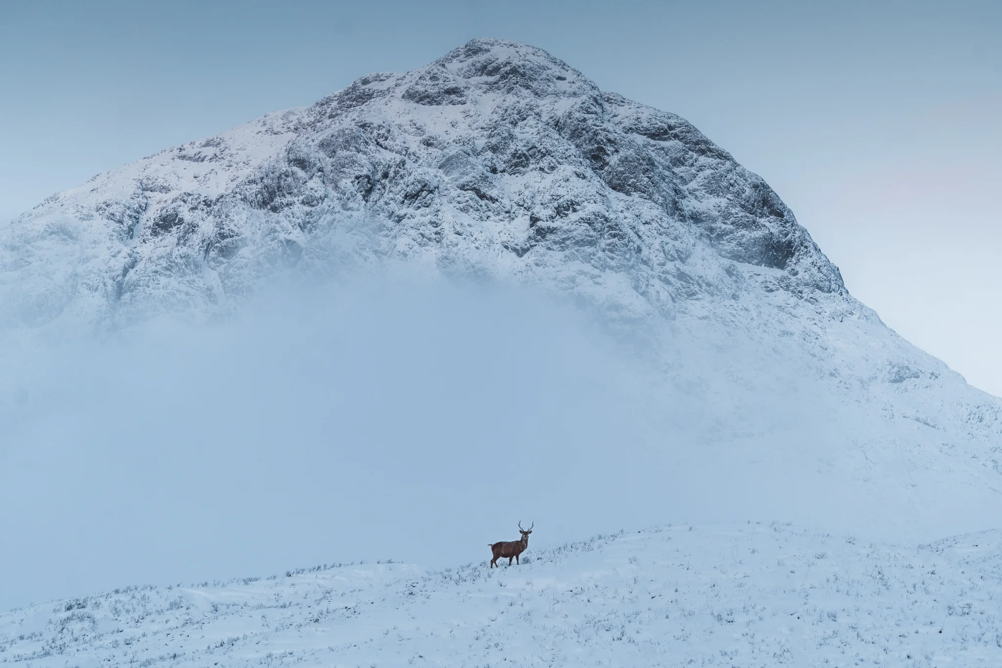 Scotland II- Low Res-60.jpg