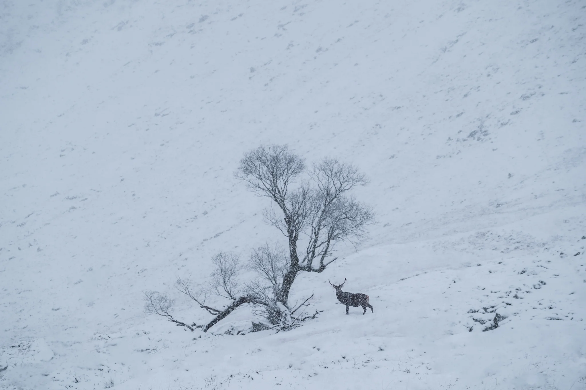 Scotland II- Low Res-57.jpg