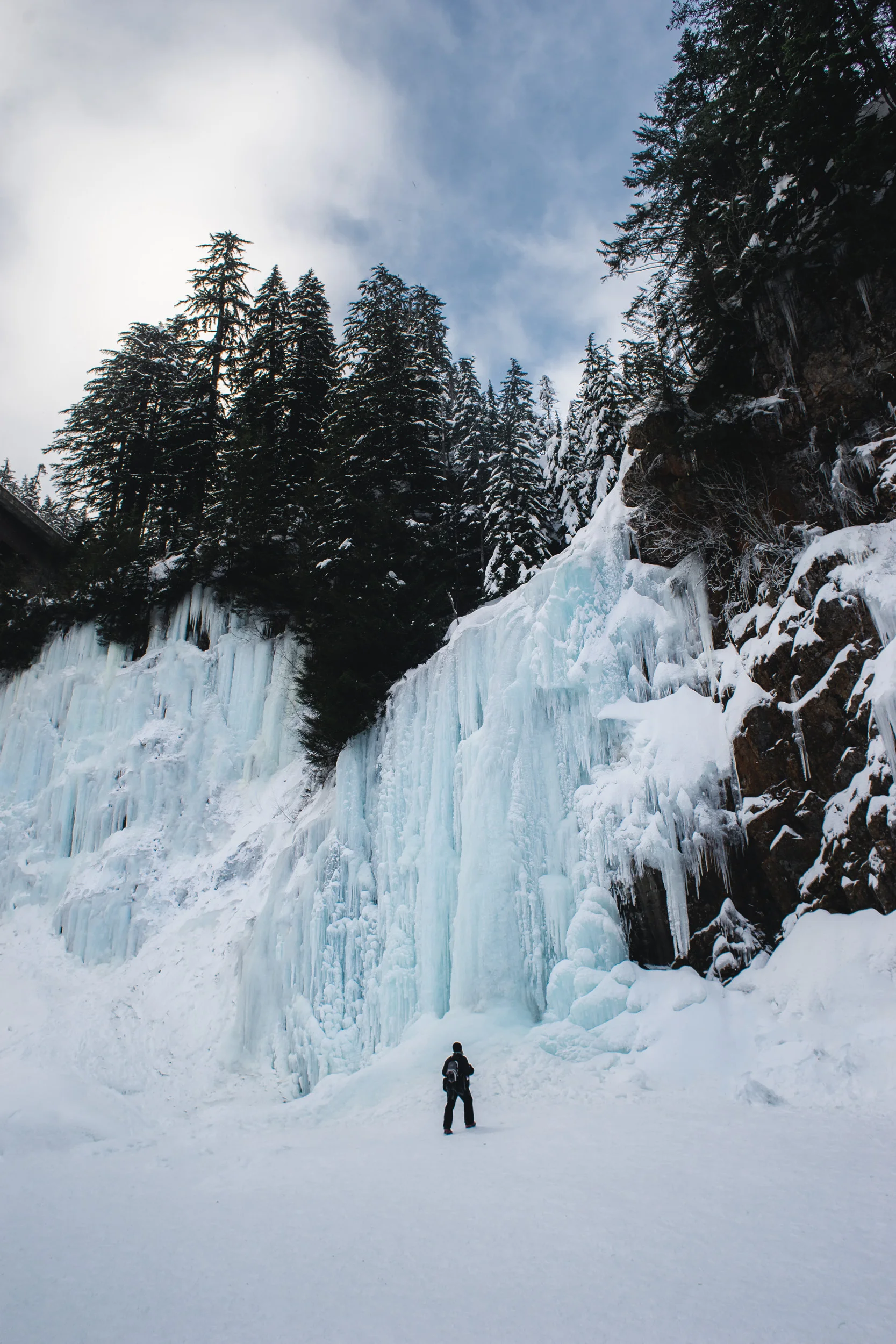 Washington-Website- Low Res-3.jpg