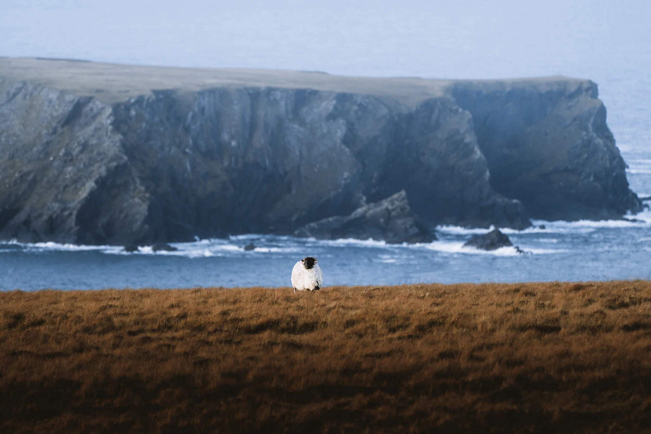 Tourism Ireland- Low Res -6.jpg