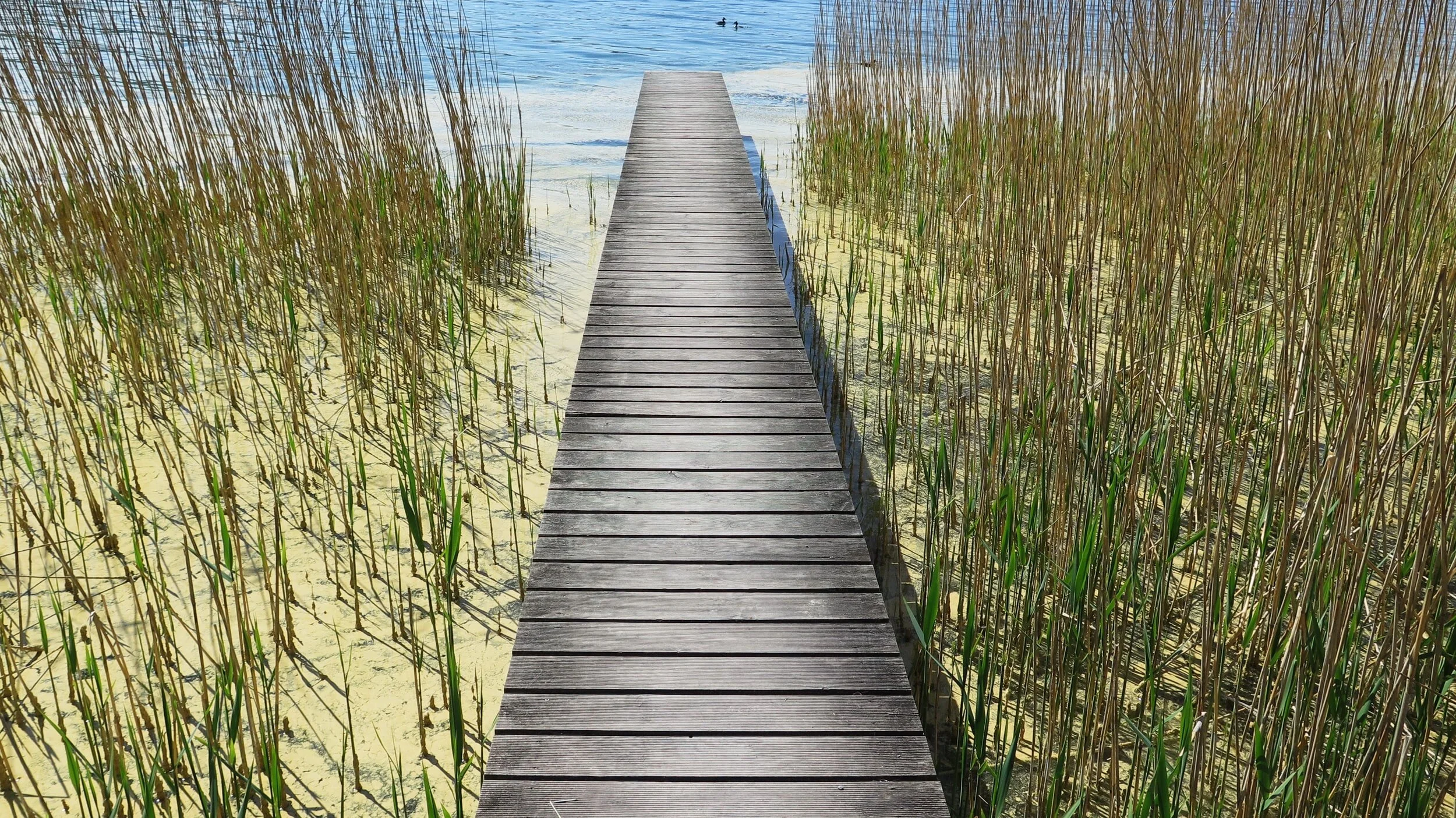 unsplash-image-sR7nqhr8SqA.jpg