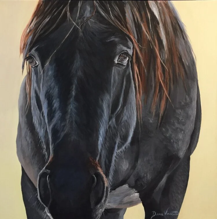 dv in your pocket.jpeg