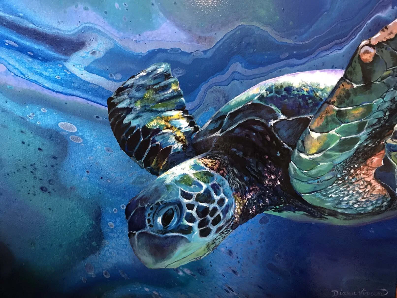 11 Dive Deep sold.JPG