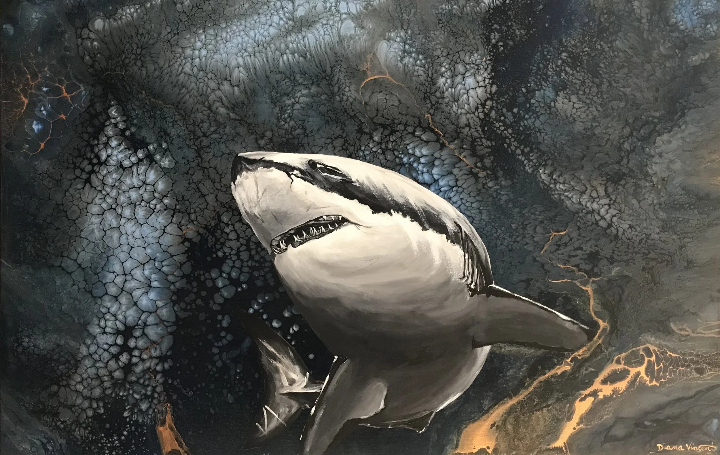 71 Shark in the Dark - Corner.JPG