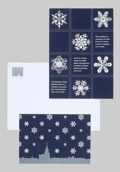 Museum of Science invitation for an exhibition on snowflakes