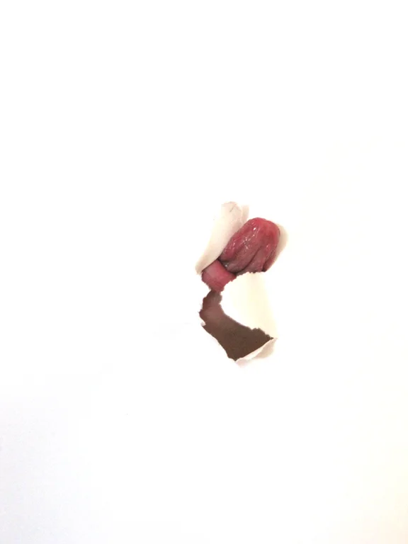 tongue.jpg