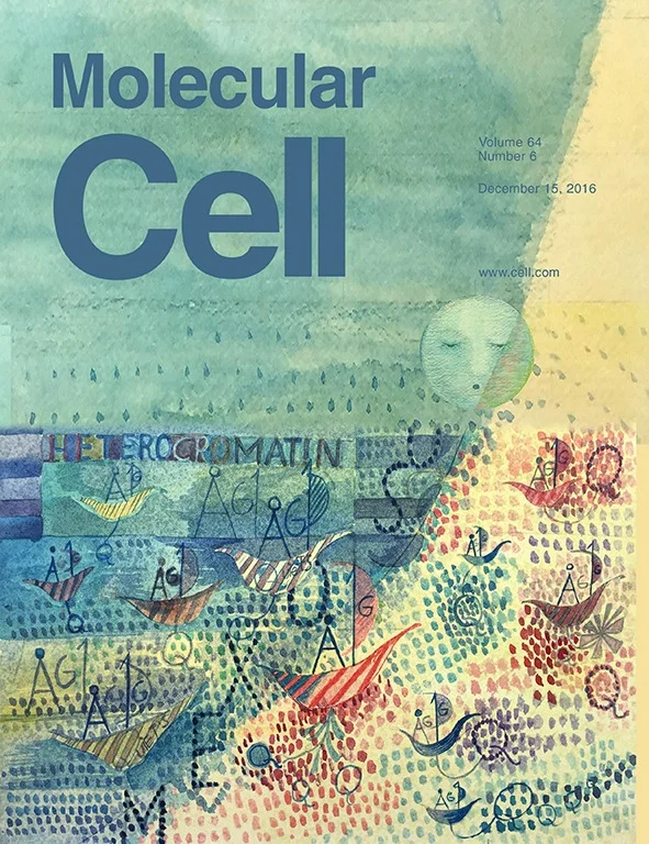 Molecular Cell magazine cover
