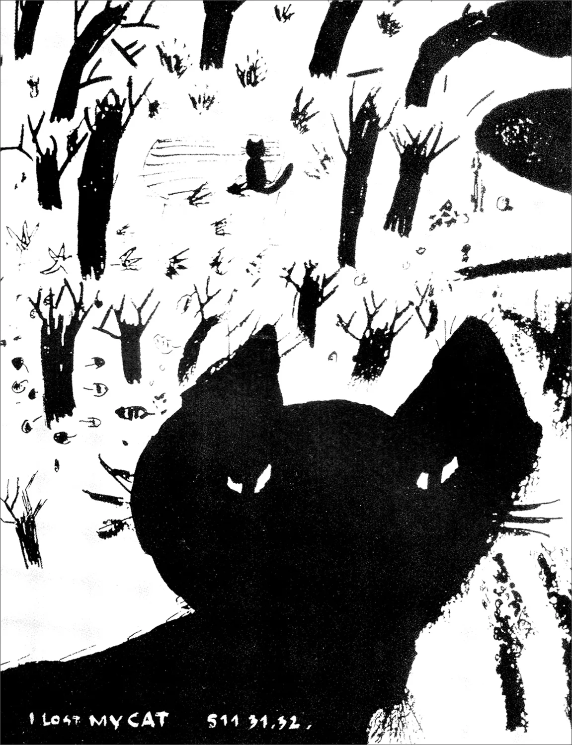 I lost my cat.jpg
