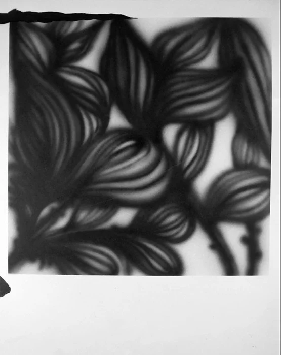 "UNTITLED" 2013 . INK ON PAPER . 18"X23.5"
