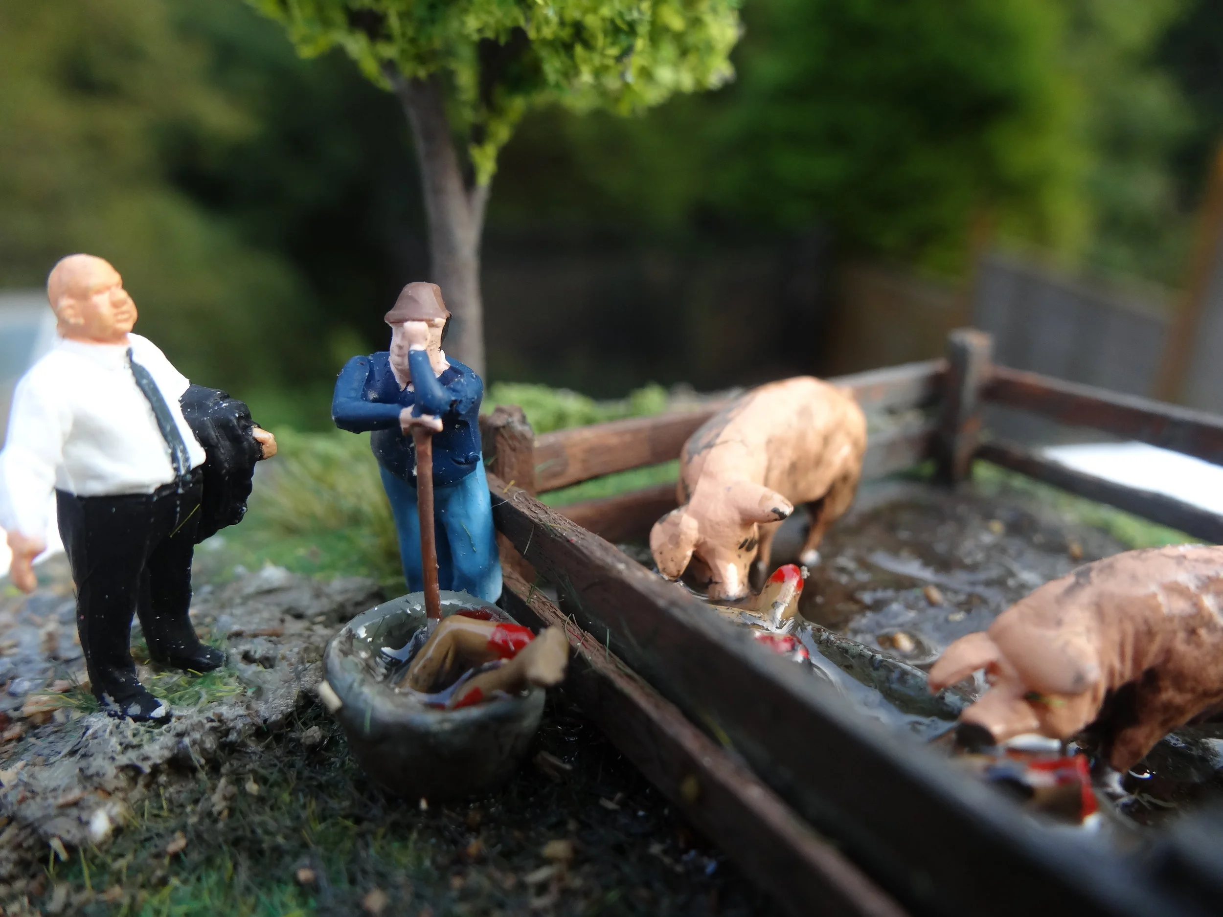 Close up of 'Feeding Time'