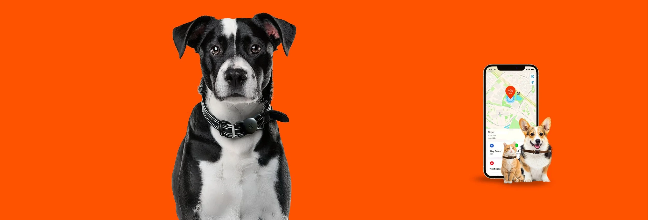 AIRPET BANNER-01.jpg