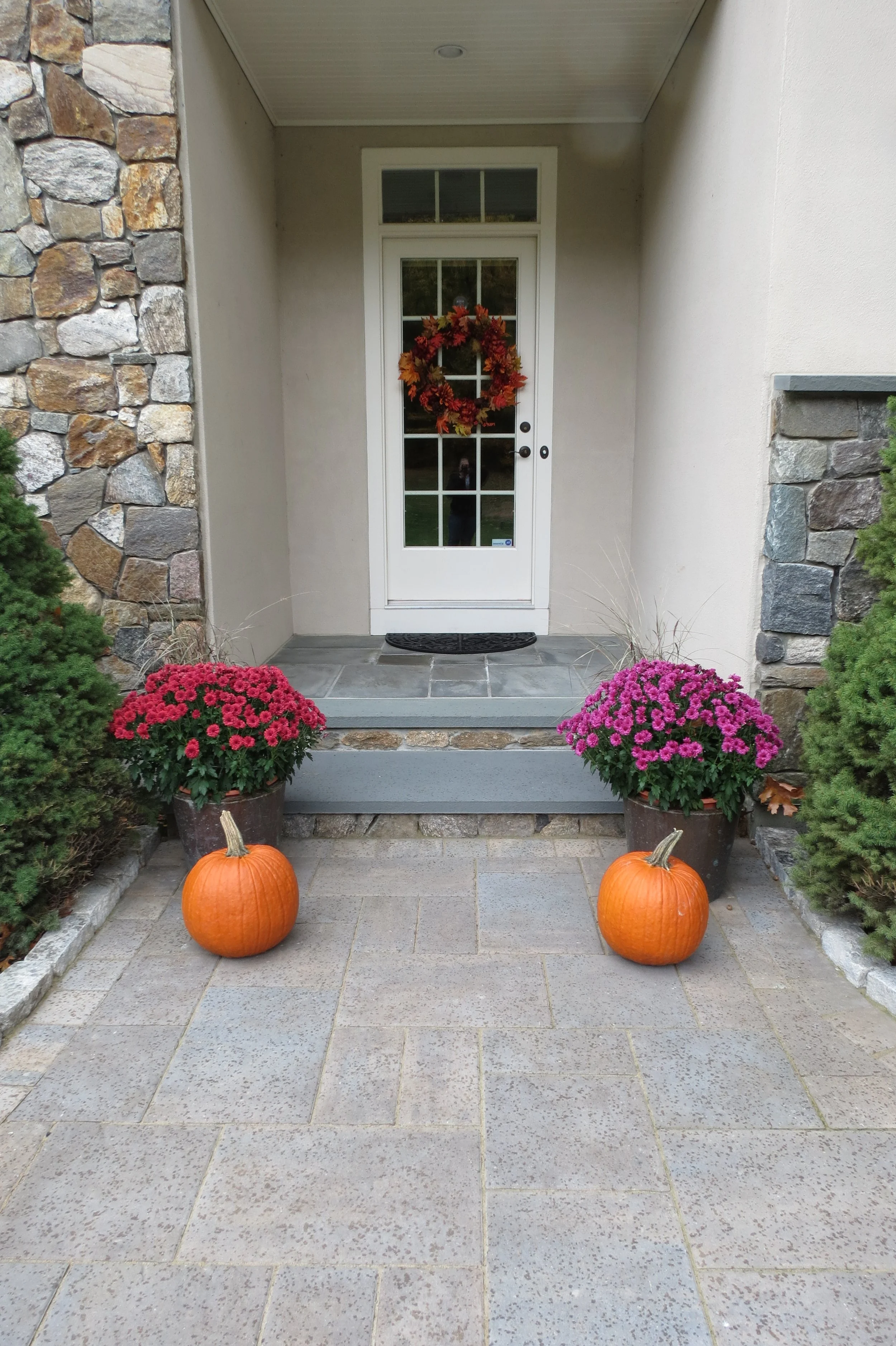 Stephanie Camera 210.JPG