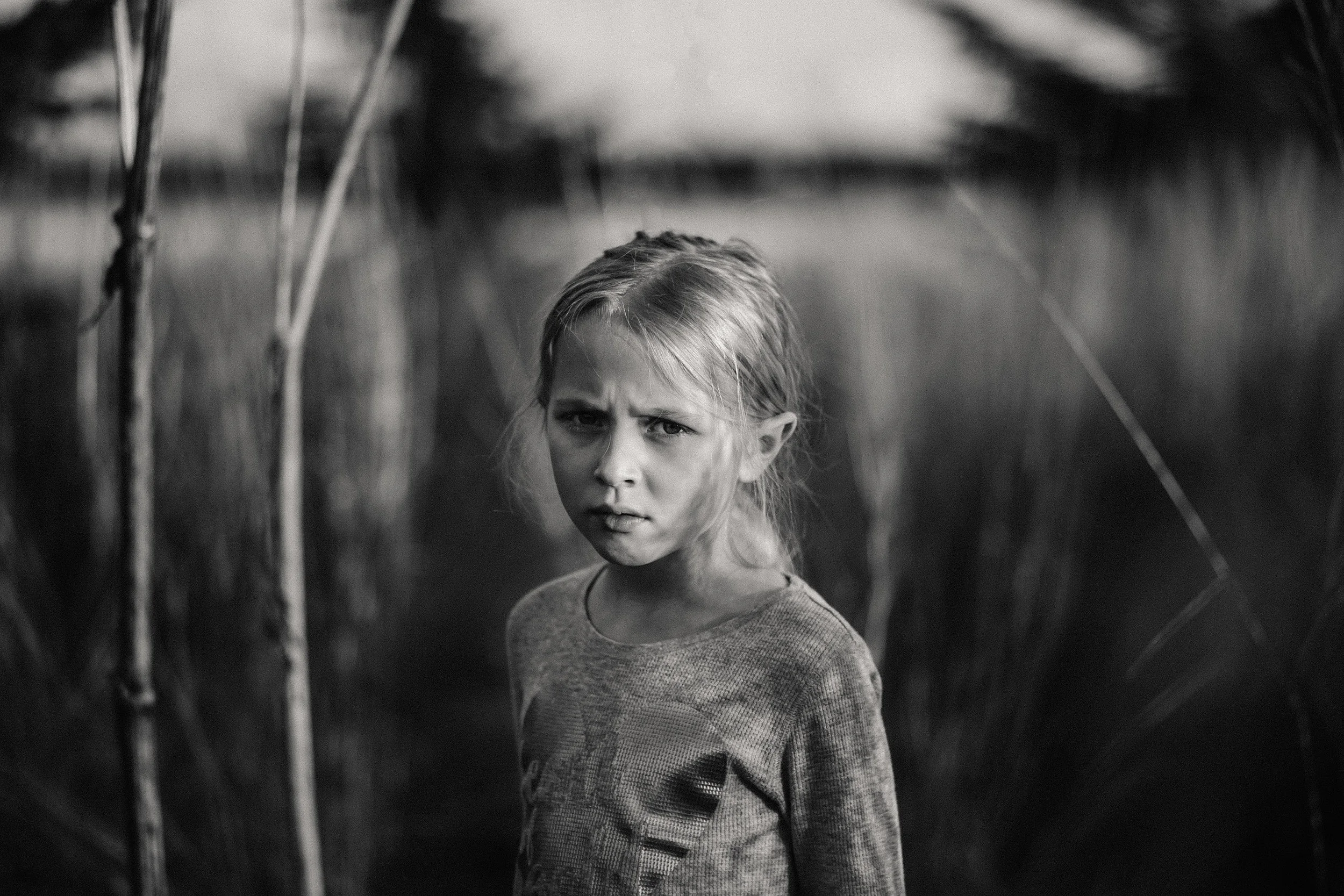 untitled-1-12.jpg