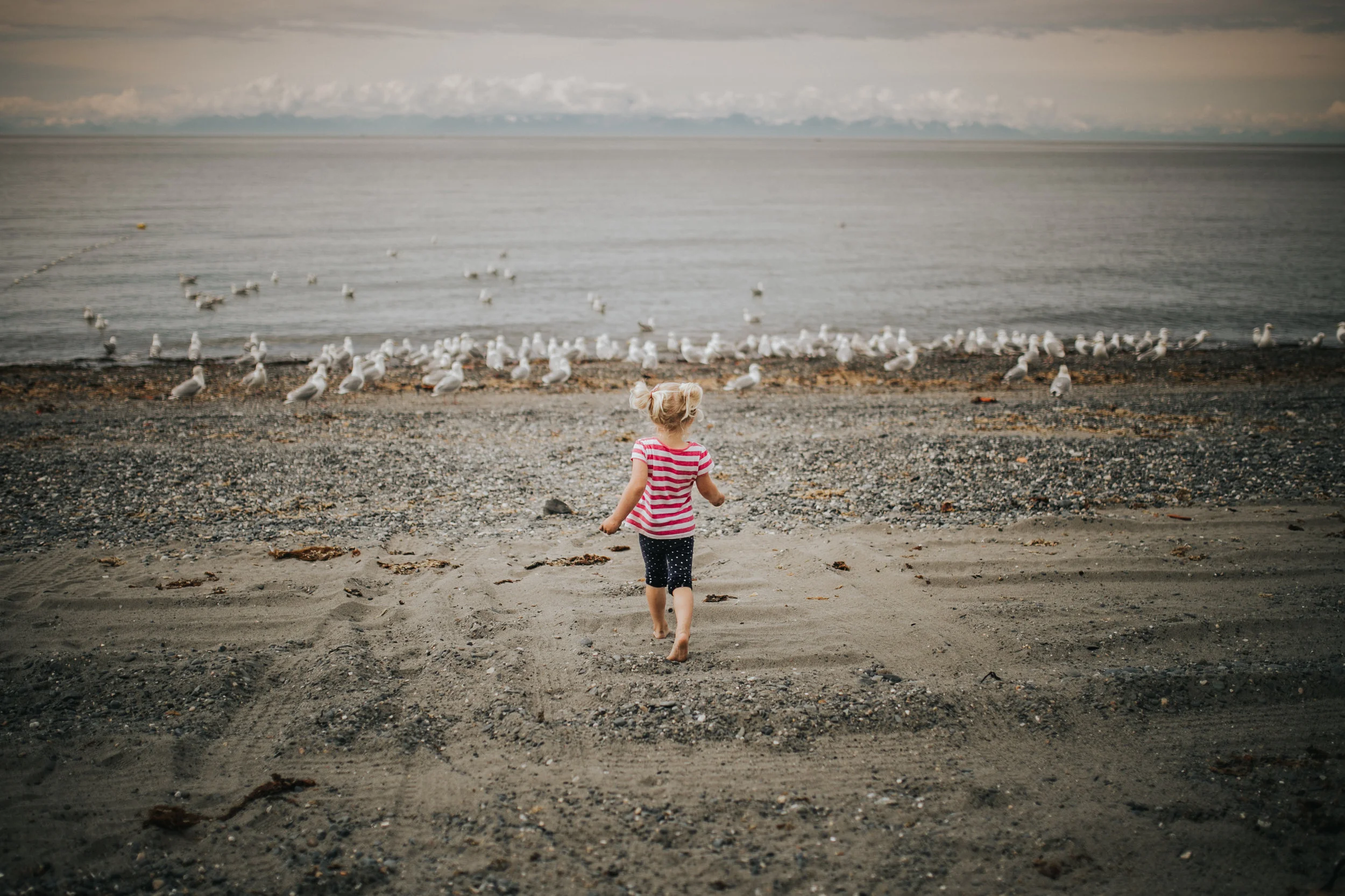 untitled-1-55.jpg