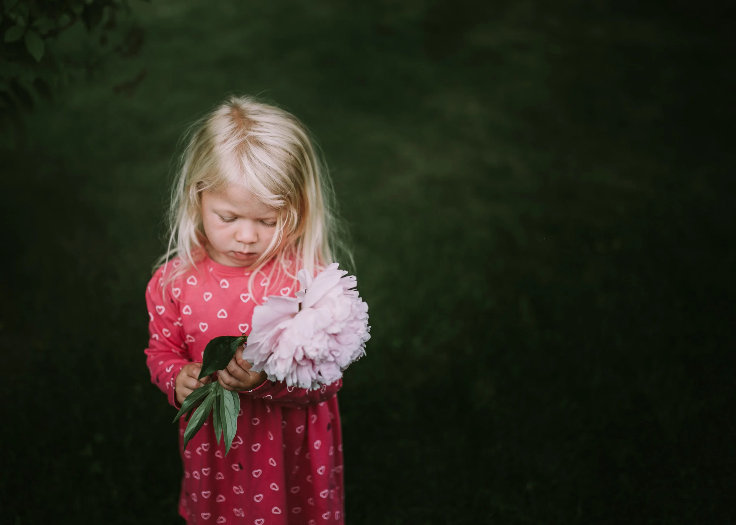 untitled-64.jpg