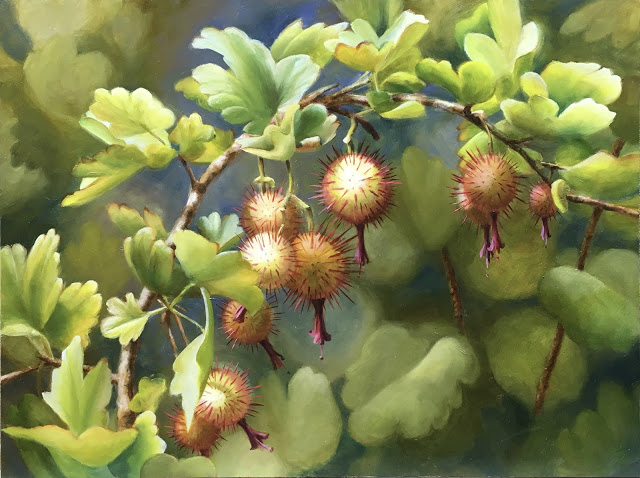 Gooseberries - Volcan Mountain 12x16 - oil on panel