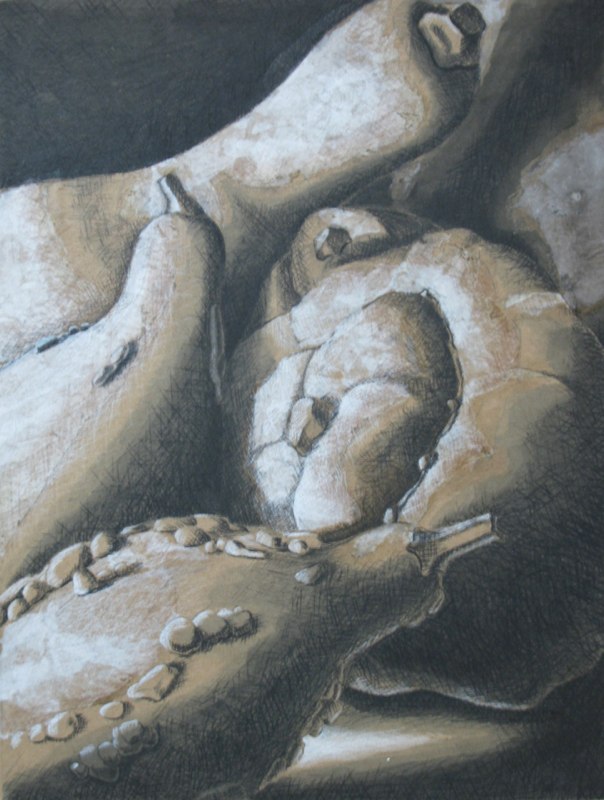 Gourds - 10x12 - charcoal and chalk on paper