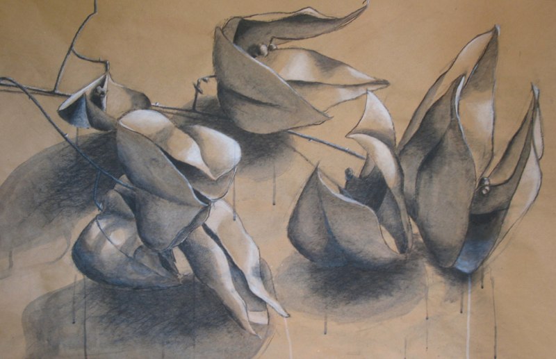 Seed Pods - 48x72 - ink, charcoal and chalk on paper