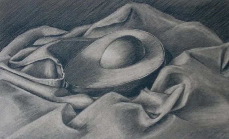 Avocado Half - 9x14 - charcoal on paper