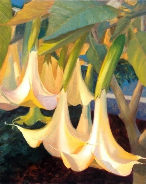 Angel's Trumpet - 16x20 - Oil on Panel - SOLD