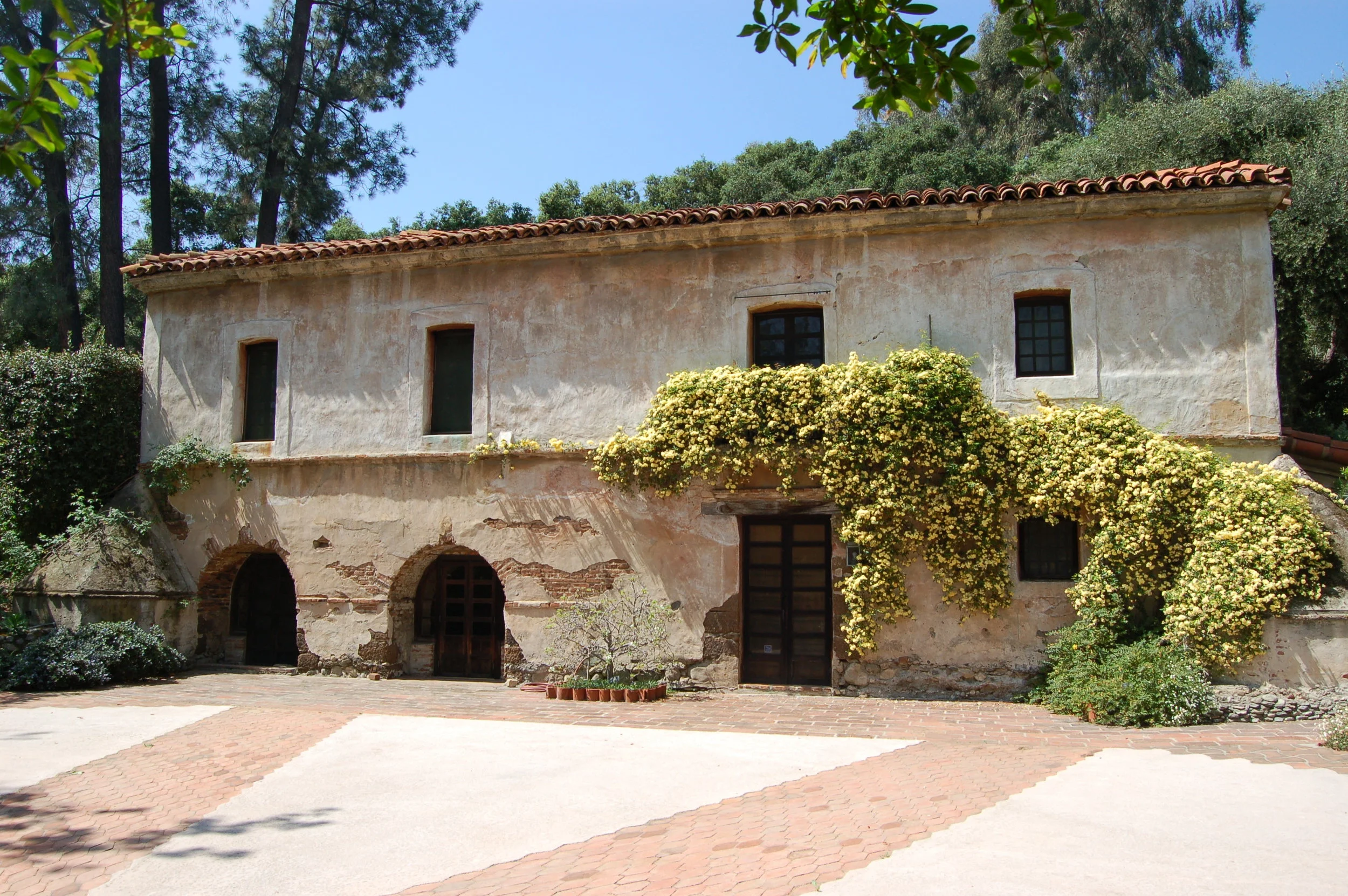 Lady Banks Whole Bldg_0015.JPG