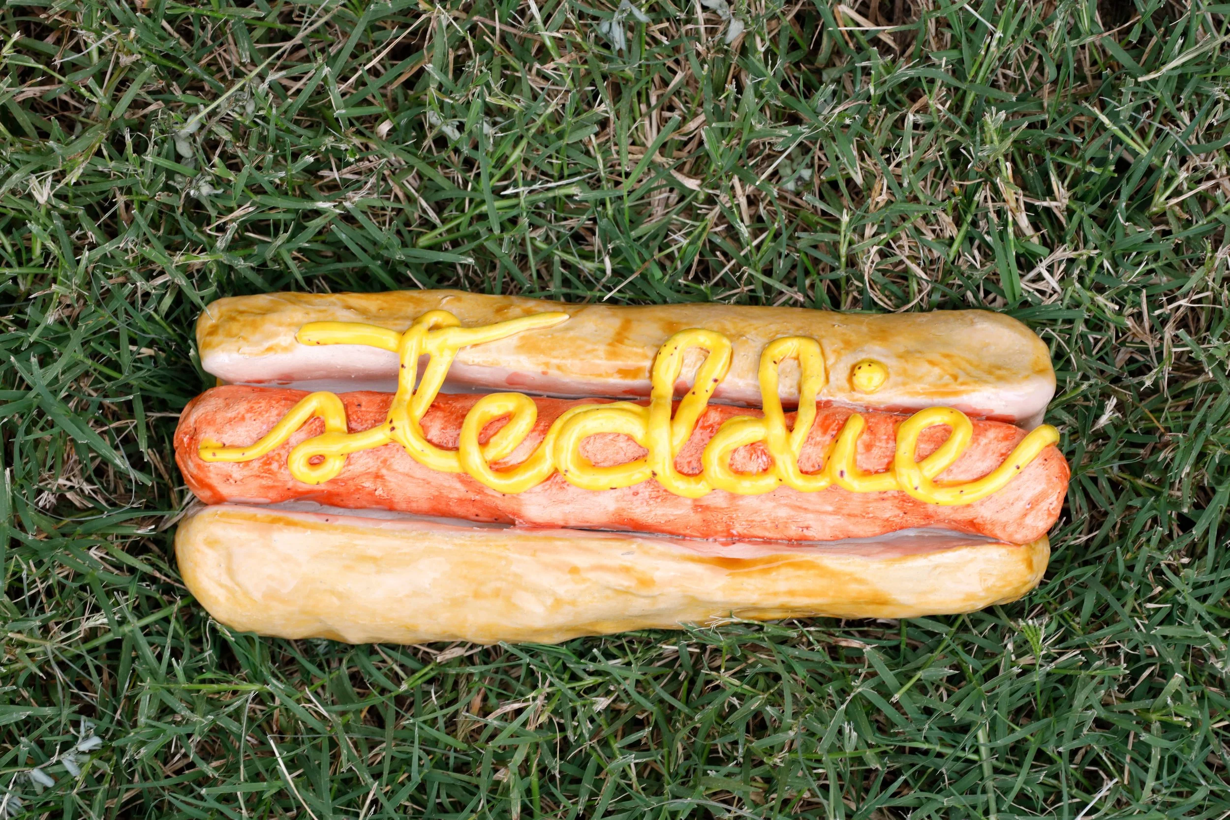 TLN_Steddie_Hotdog.JPG