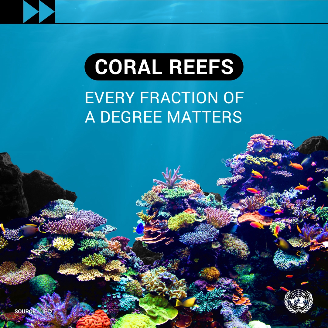 data-viz-coral-reefs-en-slide_01.png