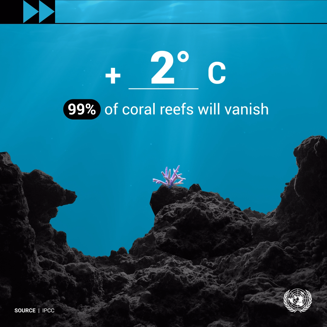 data-viz-coral-reefs-en-slide_03.png