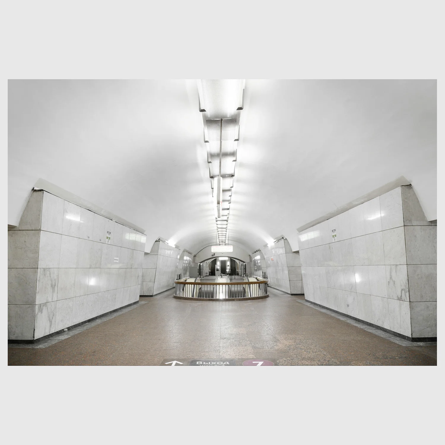 NARODIZKIY9399.jpg
