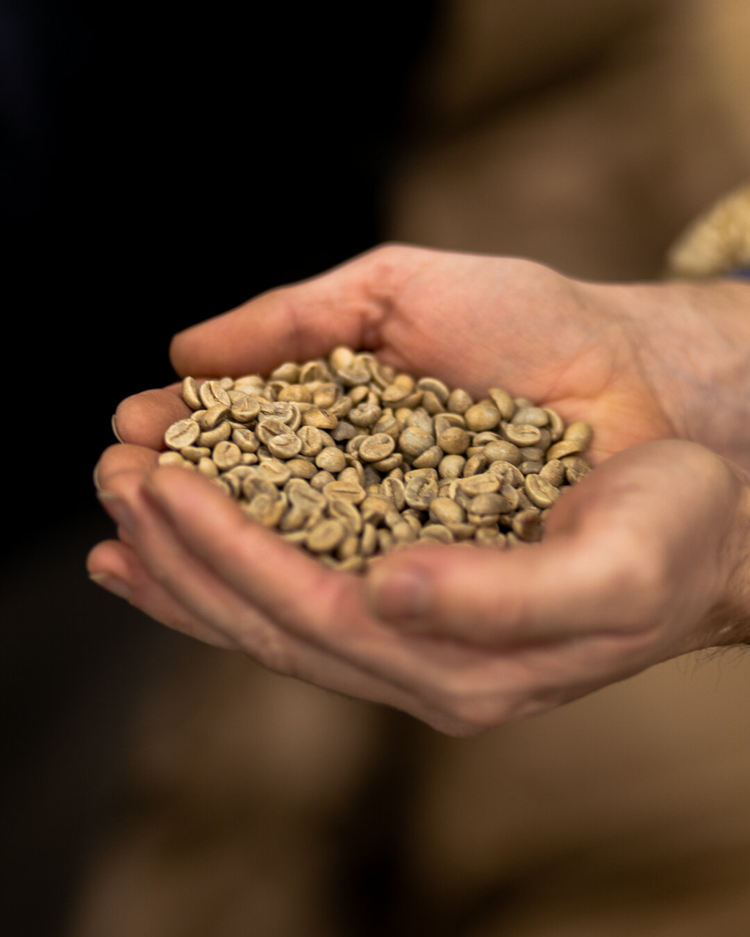 Beans in Hand 4x5.jpg