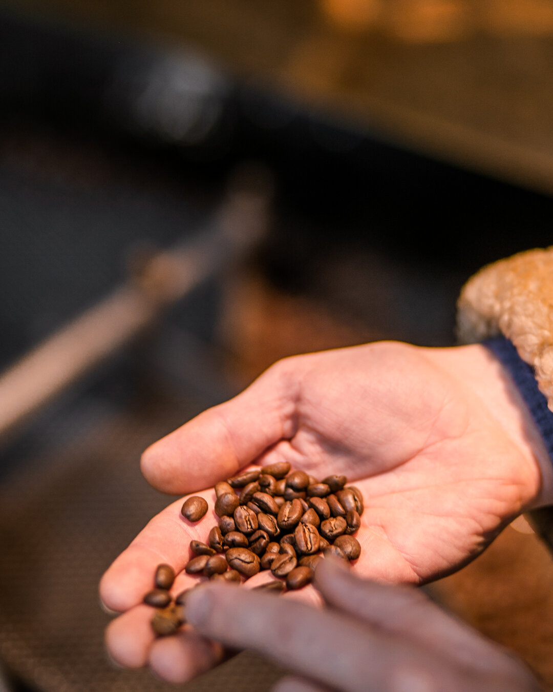 Roasted Beans 4x5.jpg